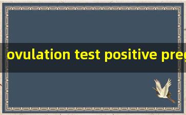  ovulation test positive pregnancy